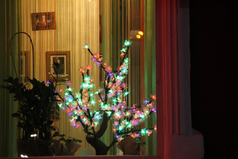 Олень стал одним из главных новогодних символов Саратова