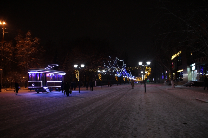 Олень стал одним из главных новогодних символов Саратова