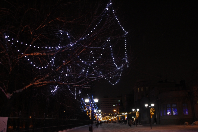 Олень стал одним из главных новогодних символов Саратова
