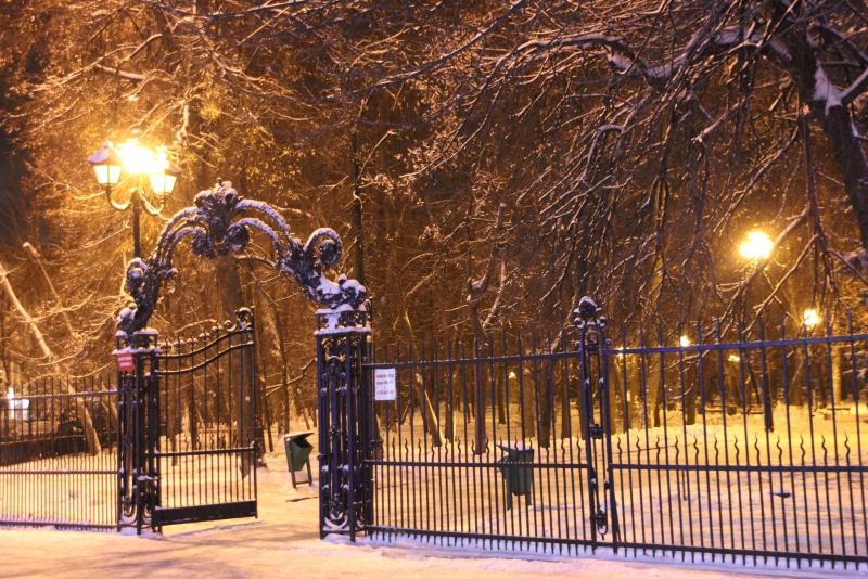 Олень стал одним из главных новогодних символов Саратова