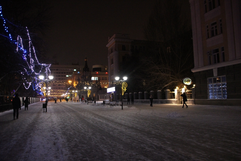 Олень стал одним из главных новогодних символов Саратова