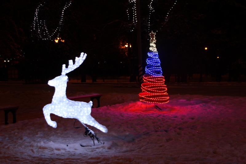 Олень стал одним из главных новогодних символов Саратова