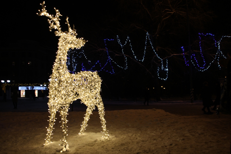 Олень стал одним из главных новогодних символов Саратова