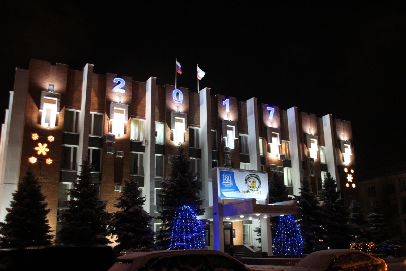 Олень стал одним из главных новогодних символов Саратова