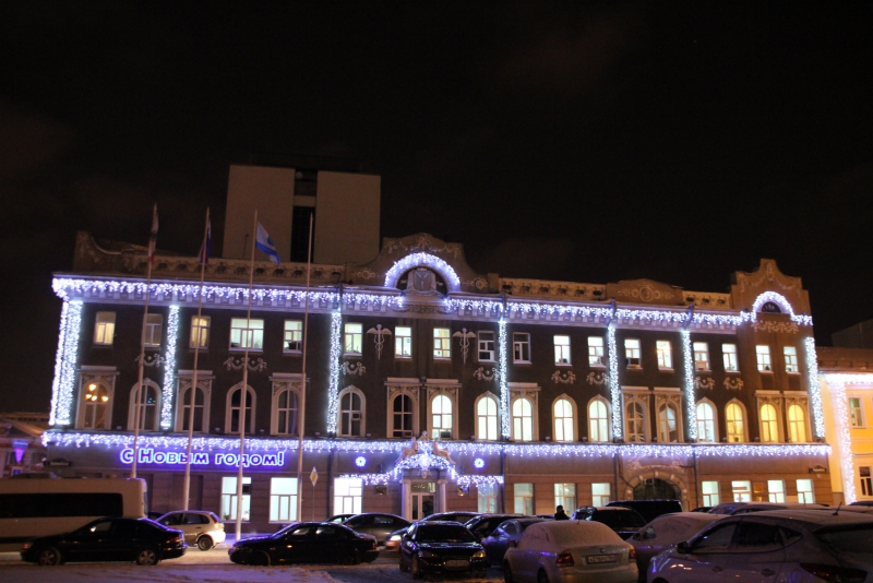 Олень стал одним из главных новогодних символов Саратова