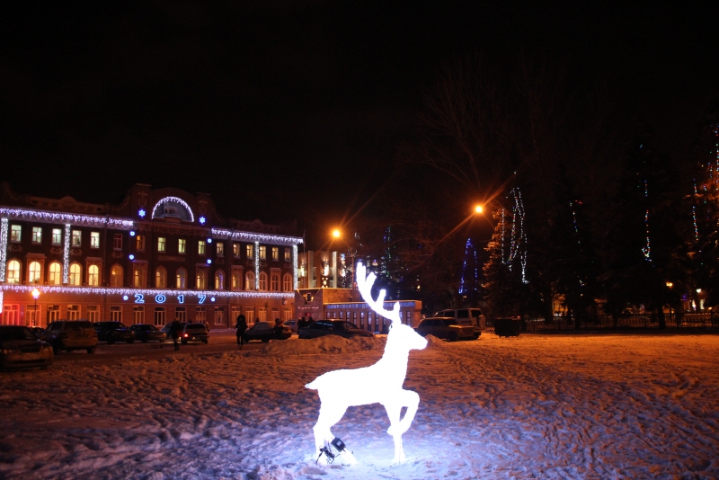 Олень стал одним из главных новогодних символов Саратова