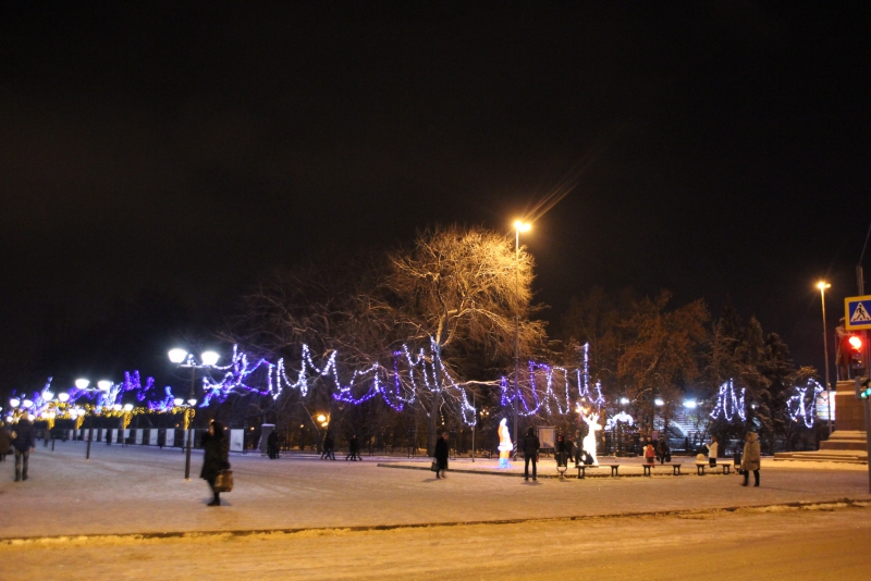 Олень стал одним из главных новогодних символов Саратова
