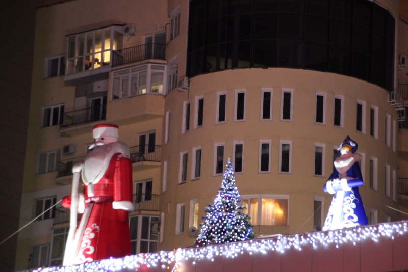 Олень стал одним из главных новогодних символов Саратова