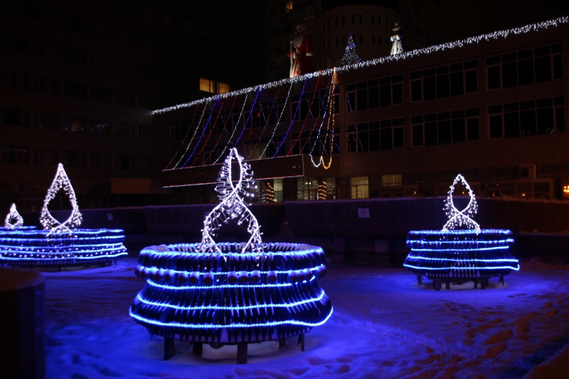 Олень стал одним из главных новогодних символов Саратова