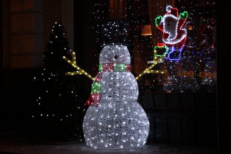 Олень стал одним из главных новогодних символов Саратова