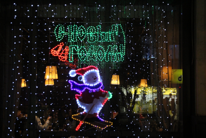 Олень стал одним из главных новогодних символов Саратова