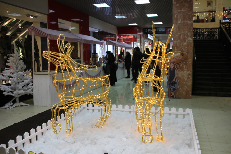 Олень стал одним из главных новогодних символов Саратова