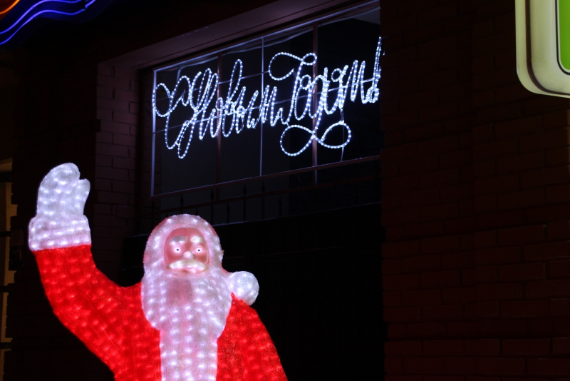 Олень стал одним из главных новогодних символов Саратова