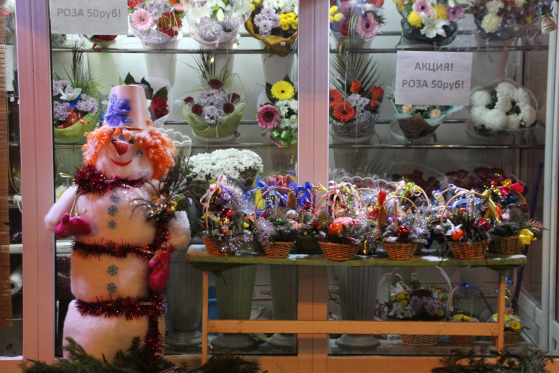 Олень стал одним из главных новогодних символов Саратова