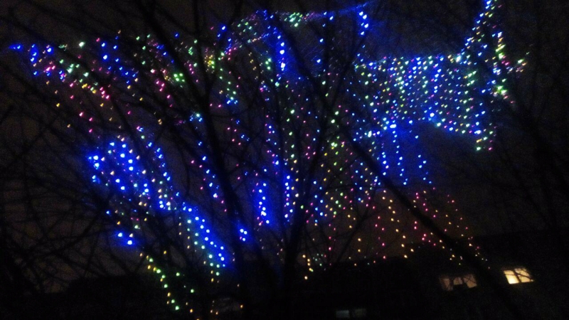 Олень стал одним из главных новогодних символов Саратова