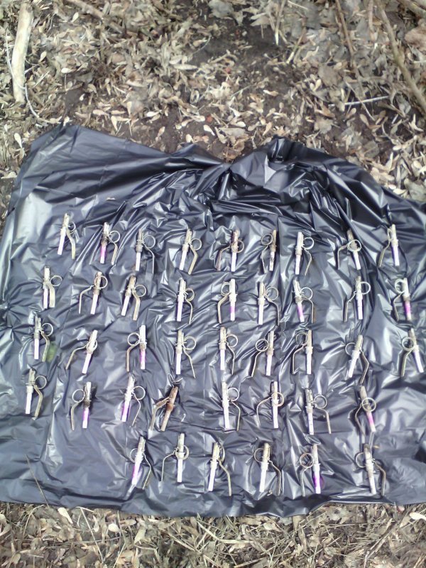 Саратовцы осуждены за торговлю гранатами и тротилгексогеном