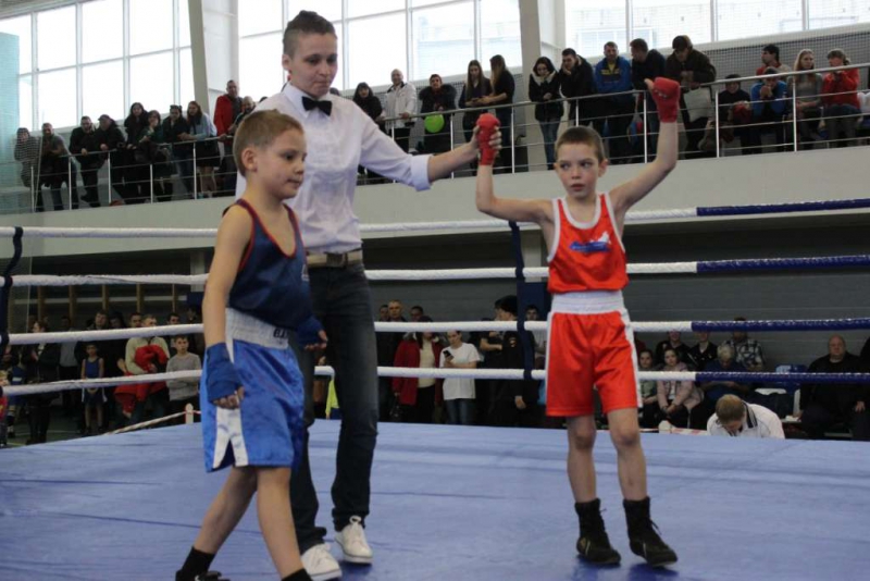 В Балашове подвели итоги турнира по боксу