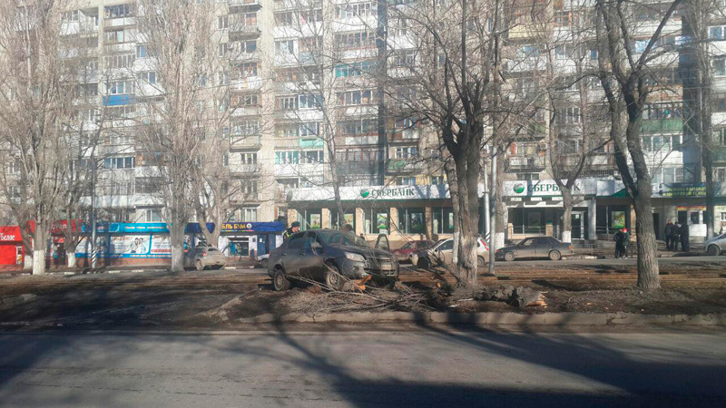 На Энтузиастов обгонявшая автобус легковушка снесла дерево