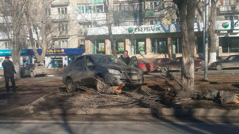 На Энтузиастов обгонявшая автобус легковушка снесла дерево