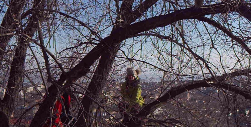 В районе Кумысной поляны спасатели сняли с дерева ребенка