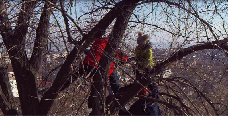 В районе Кумысной поляны спасатели сняли с дерева ребенка