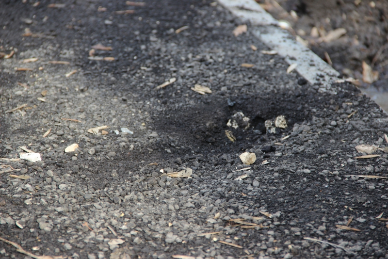 Общественники нашли в отремонтированных дворах Заводского района грязь и разруху