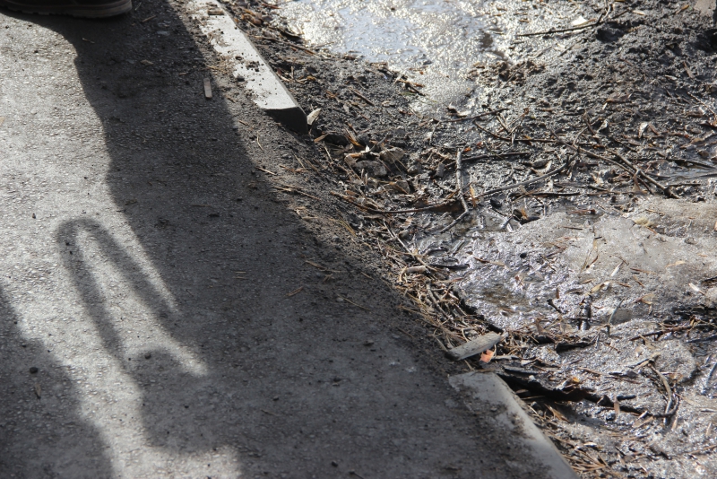 Общественники нашли в отремонтированных дворах Заводского района грязь и разруху