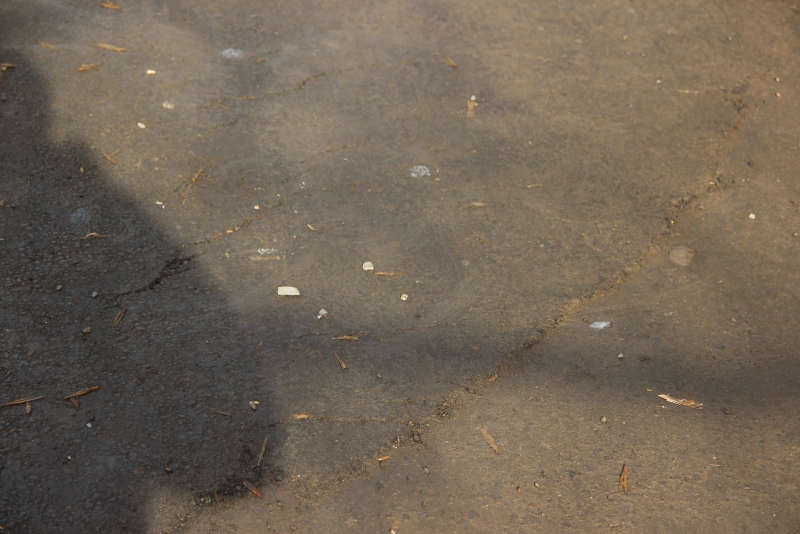 Общественники нашли в отремонтированных дворах Заводского района грязь и разруху