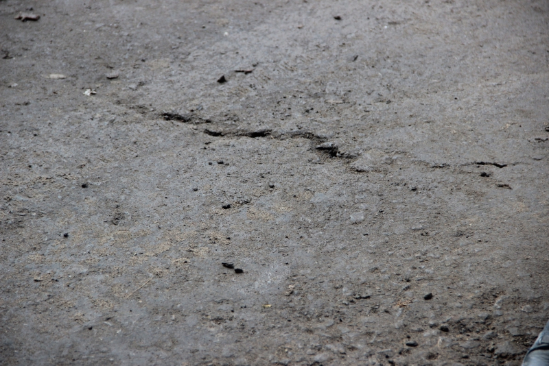 Общественники нашли в отремонтированных дворах Заводского района грязь и разруху