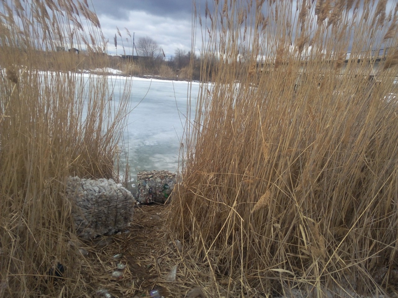 В Балакове найденные тюки мусора месяц валяются у водоема