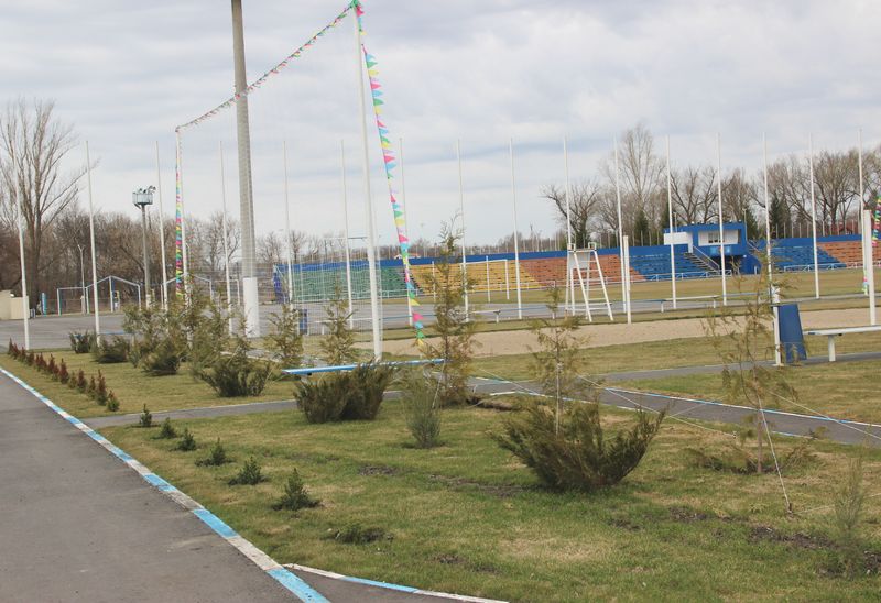 Реконструкция стадиона «Олимп» продолжается