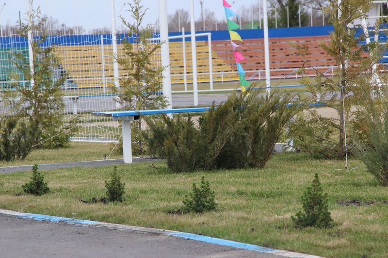 Реконструкция стадиона «Олимп» продолжается