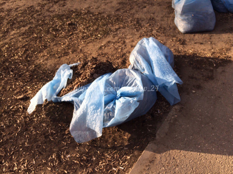 Неубранный после субботника мусор на Рахова разлетелся по скверу