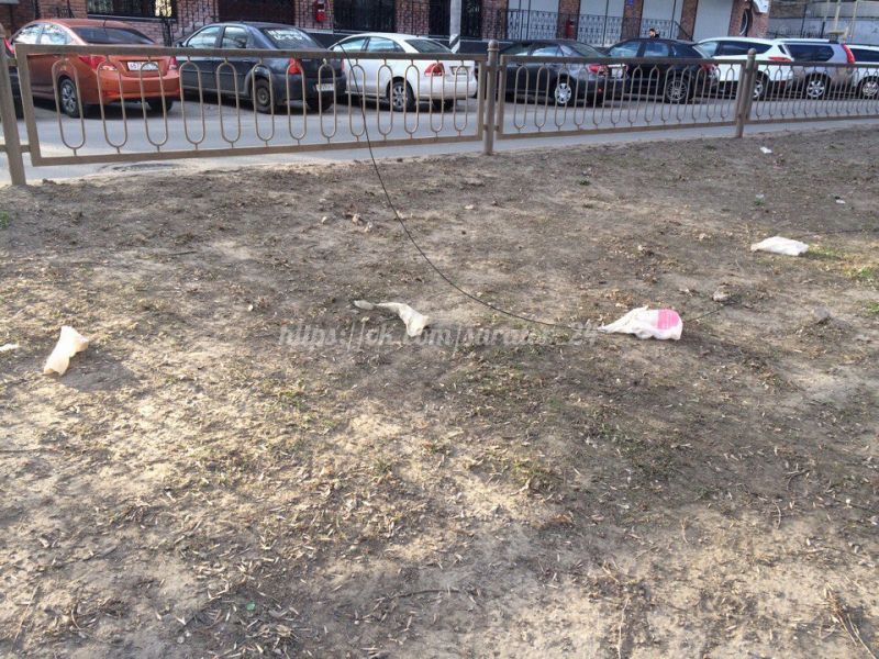 Неубранный после субботника мусор на Рахова разлетелся по скверу