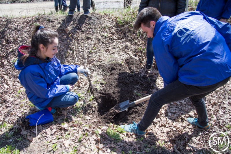Студенты СГЮА посадили деревья на «Аллее выпускников»