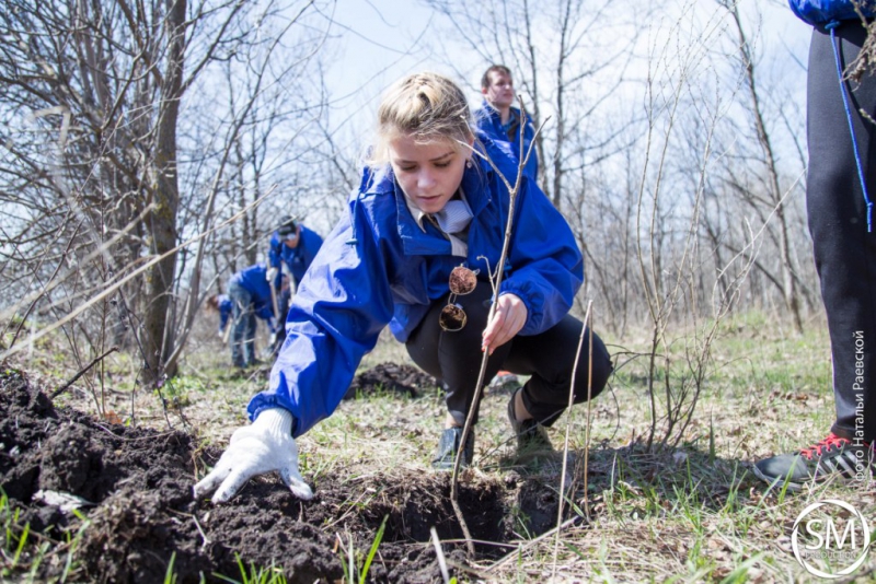 Студенты СГЮА посадили деревья на «Аллее выпускников»