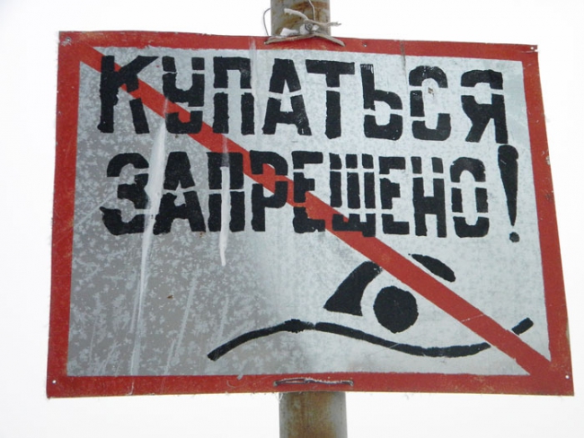 На Крещение четыре министра и зампред купались в проруби