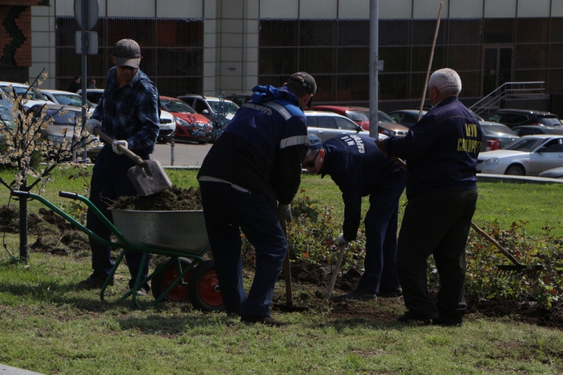 Стелу «Саратов» украсят сотнями роз
