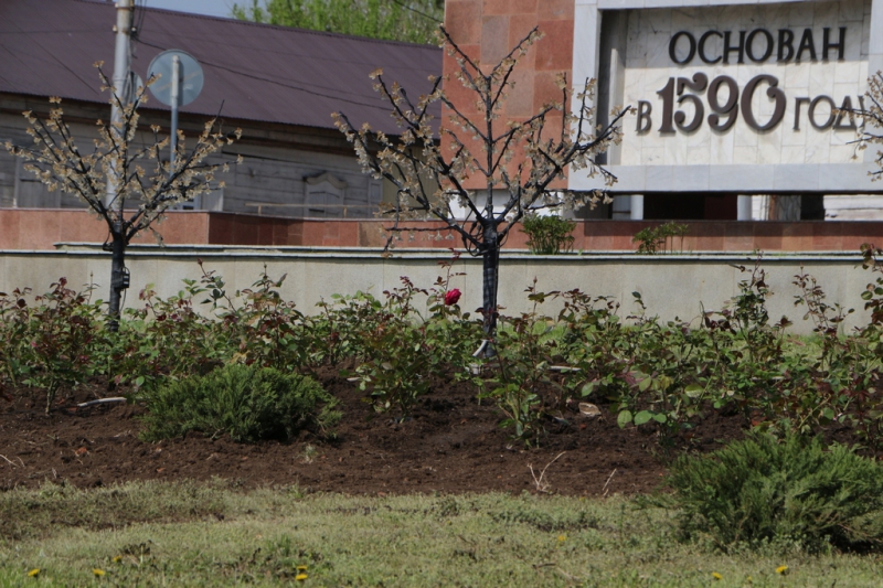 Стелу «Саратов» украсят сотнями роз