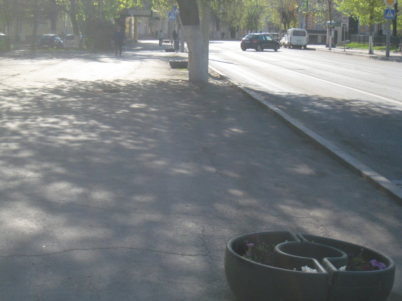Власти Саратова нашли применение кашпо, которые вывешивали на столбах