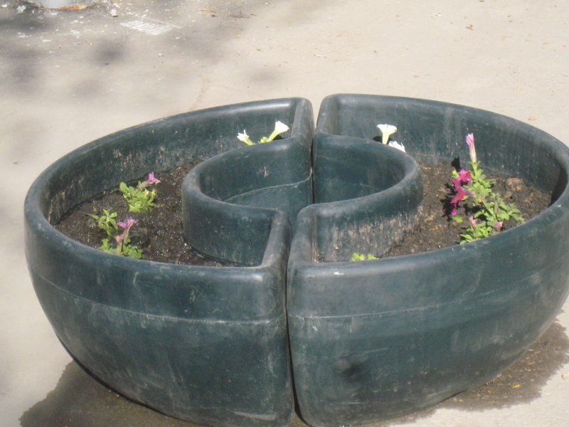 Власти Саратова нашли применение кашпо, которые вывешивали на столбах