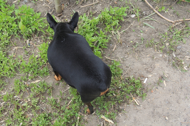 Городские выходные: саратовцы прошли по границам старой крепости