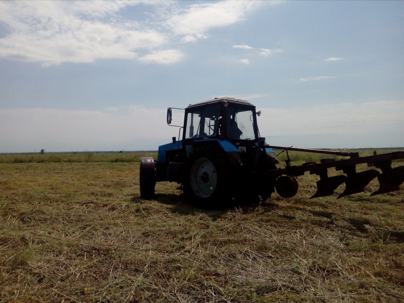 Многодетные семьи выпахали изображение дома для привлечения внимания