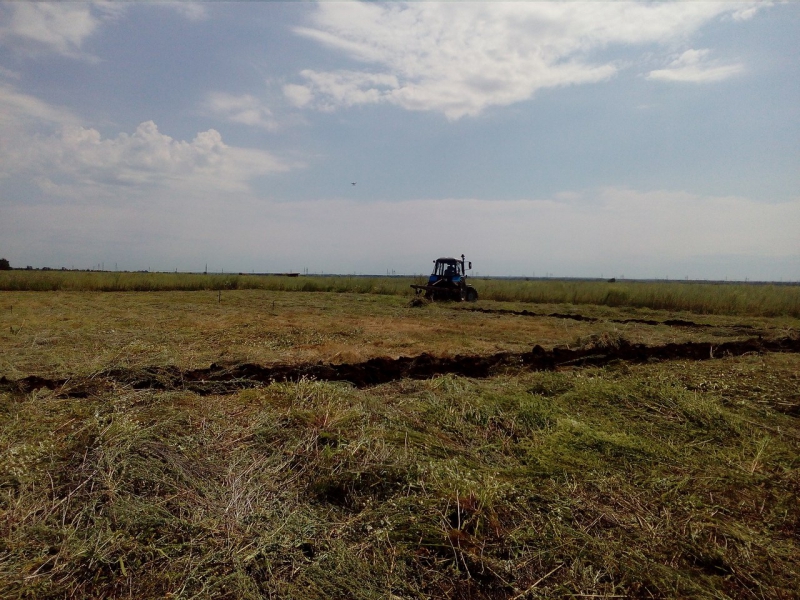 Многодетные семьи выпахали изображение дома для привлечения внимания