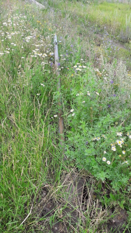 В Саратове на Кумысной поляне вандалы украли и свалили дорожные знаки