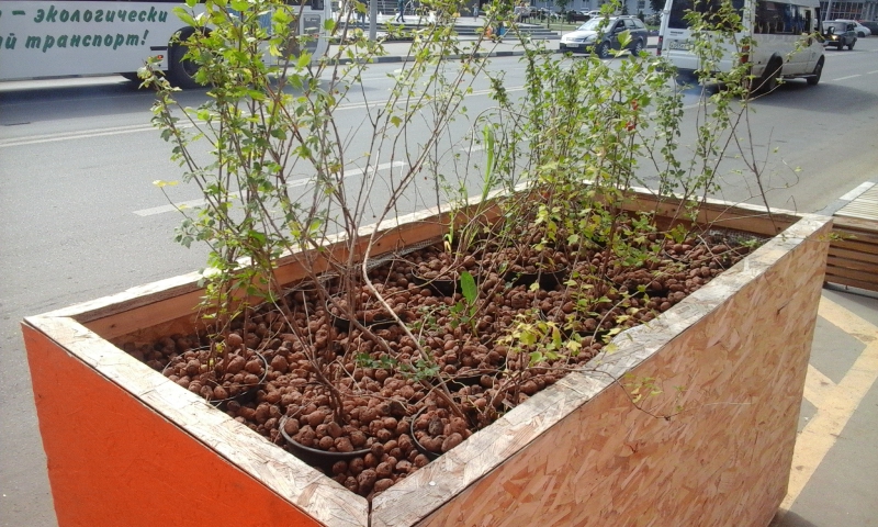 На Чапаева установили «урбанистические ящики»