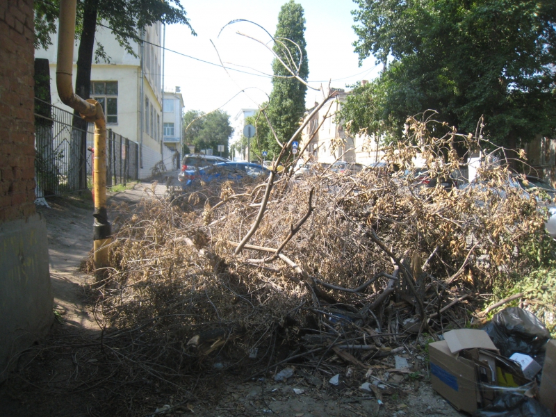 Чиновники предоставили недостоверную информацию о ликвидации последствий стихии