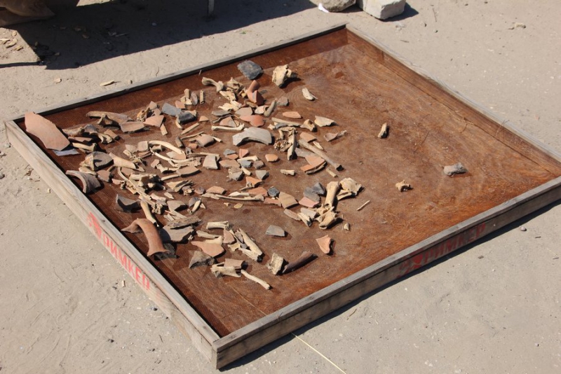 Саратовский археолог рассказал об этнофолк-вечеринке в Увеке и найденном драконе