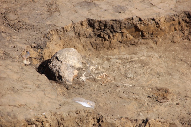 Саратовский археолог рассказал об этнофолк-вечеринке в Увеке и найденном драконе