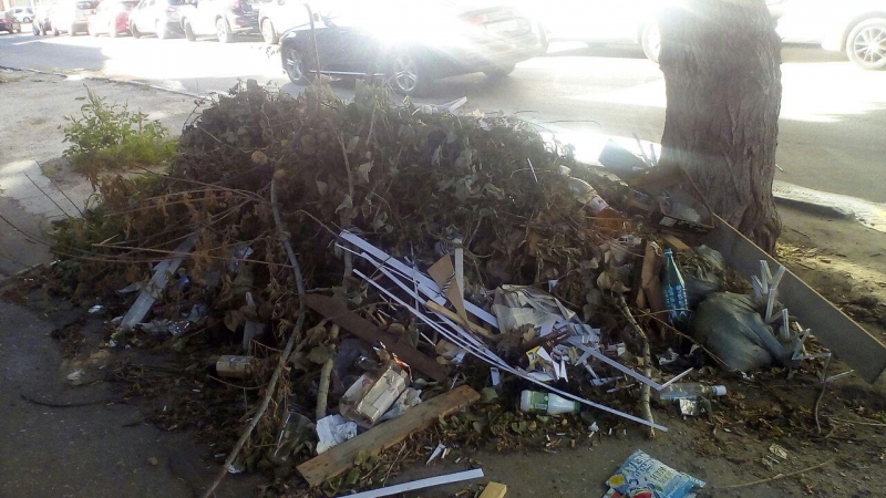 Власти потратили 21 день на ликвидацию последствий урагана на Соляной